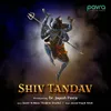 About Shiv Tandav Song